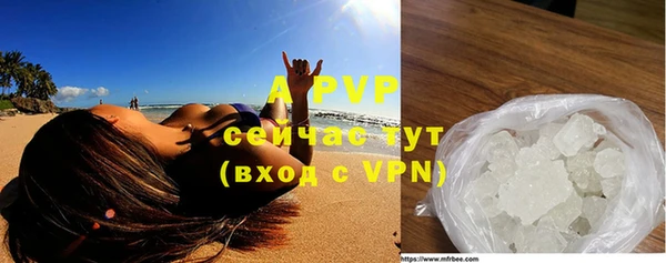 спиды Дмитров