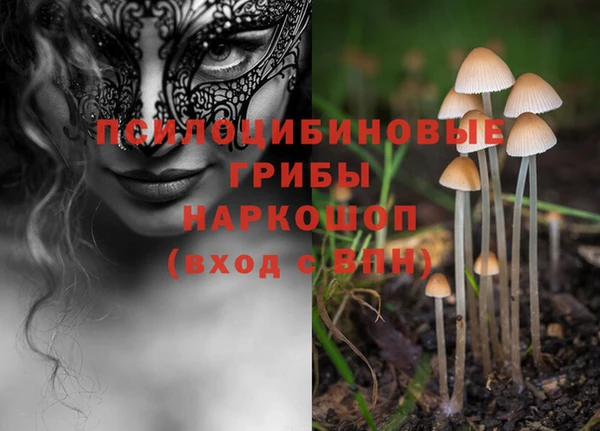 каннабис Дмитриев