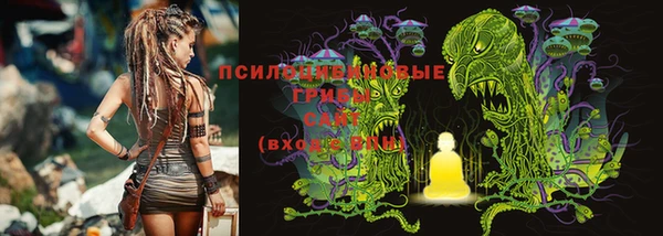спиды Дмитров
