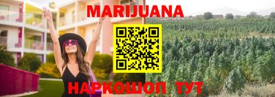 прущие грибы Балашиха
