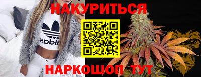 прущие грибы Балашиха