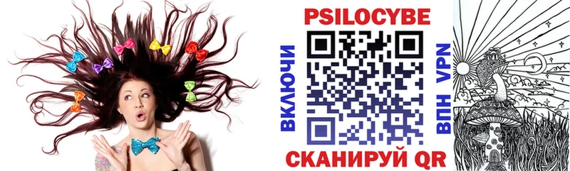 MEGA как войти  Гулькевичи  Галлюциногенные грибы Cubensis 