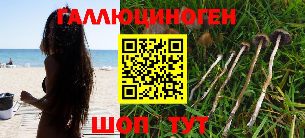 Гулькевичи  Псилоцибиновые грибы MAGIC MUSHROOMS  Вход с VPN 