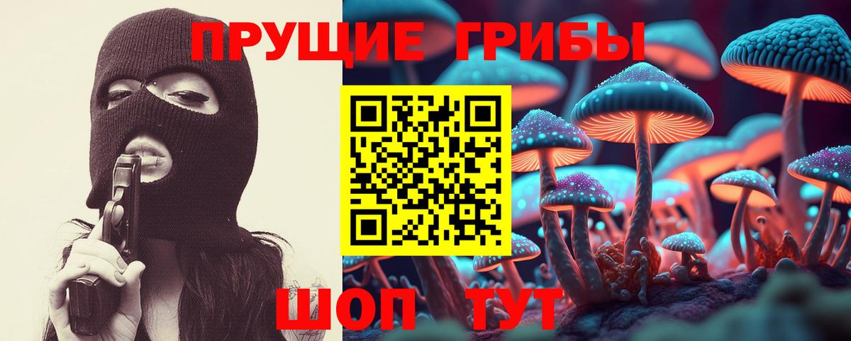 Галлюциногенные грибы прущие грибы Гулькевичи
